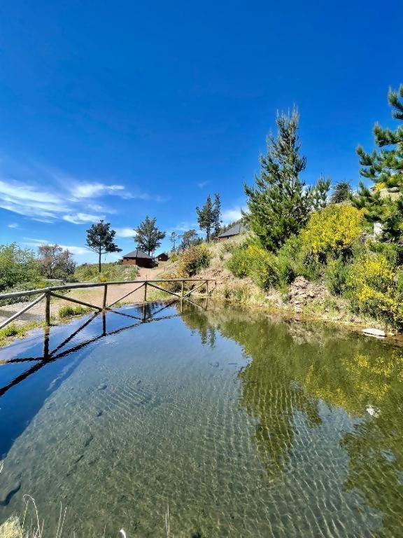 Mountain Eco Shelter 5 Hotel Фуншал Екстериор снимка