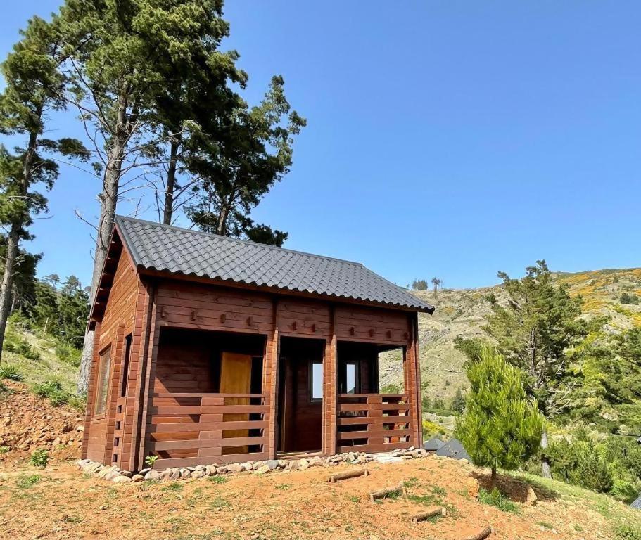 Mountain Eco Shelter 5 Hotel Фуншал Екстериор снимка